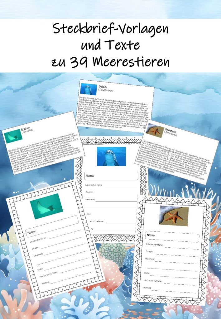 39 Unterwasserwelt Steckbriefe (Vorlagen + Texte)