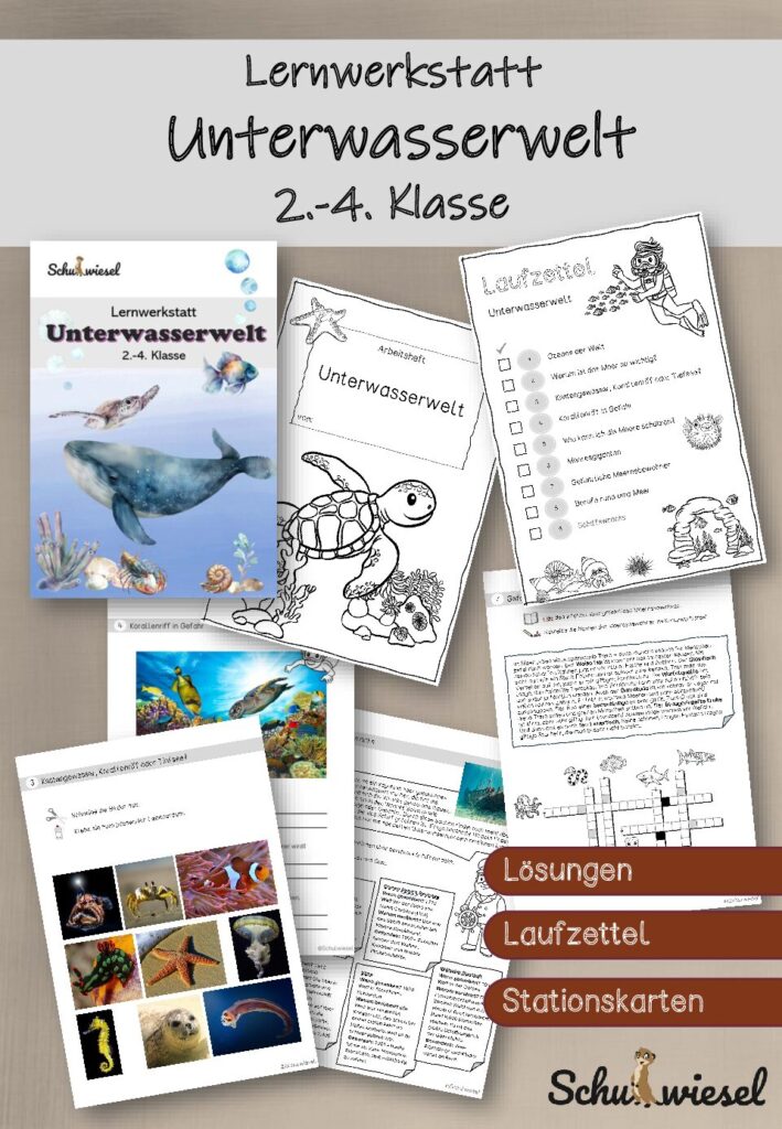 Arbeitsheft „Unterwasserwelt“ 2.-4. Klasse