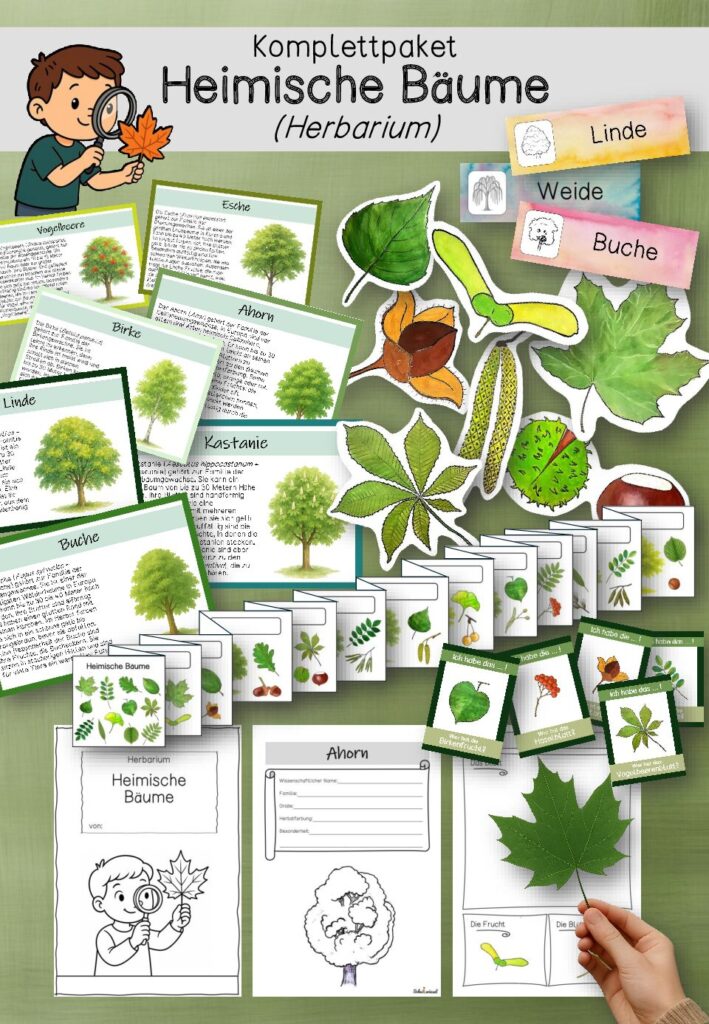 Komplettpaket: Heimische Bäume – Herbarium