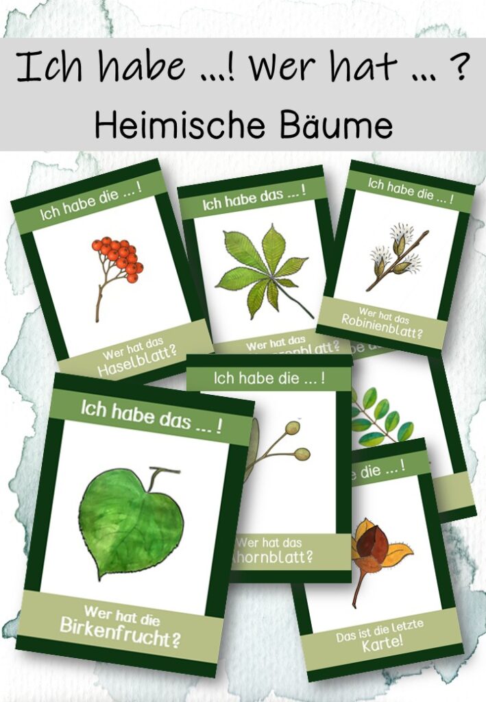 Ich habe ….! Wer hat …? Heimische Bäume